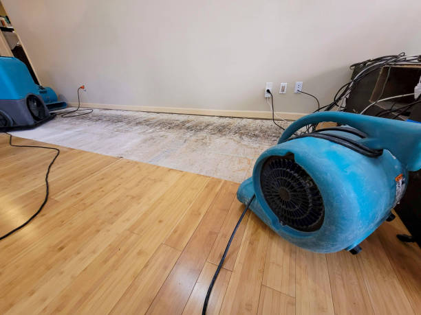 Professional Flood Damage Cleanup technician working in Maurepas, LA